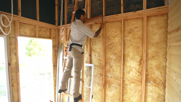 Best Soundproof Insulation  in University Park, TX